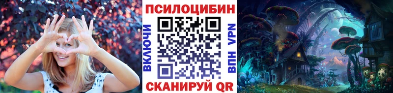 Псилоцибиновые грибы MAGIC MUSHROOMS  купить наркоту  Шимановск 